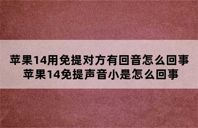 苹果14用免提对方有回音怎么回事 苹果14免提声音小是怎么回事